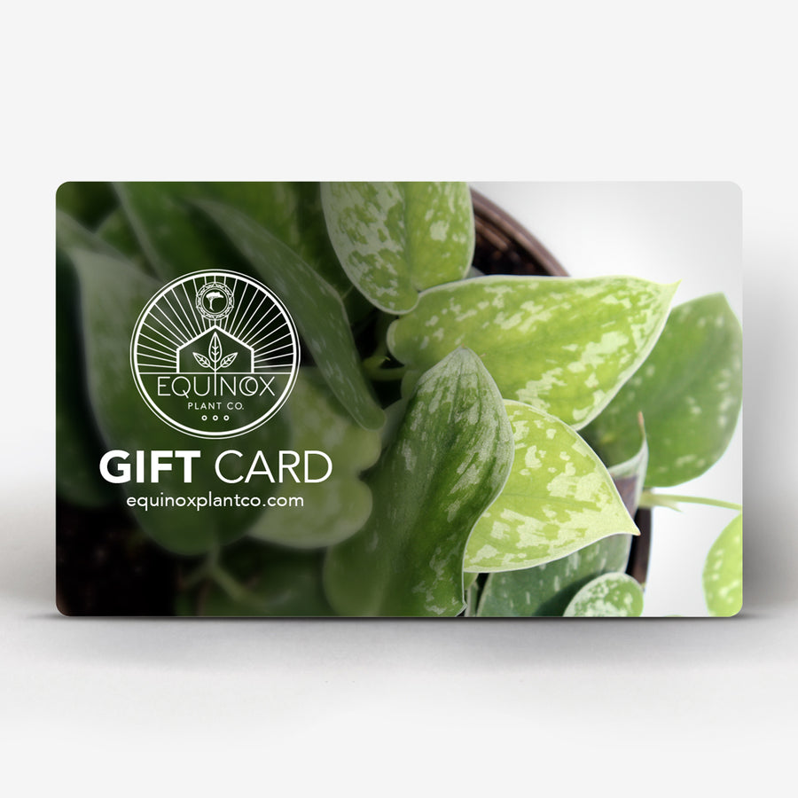 Equinox Plant Co. Gift Card